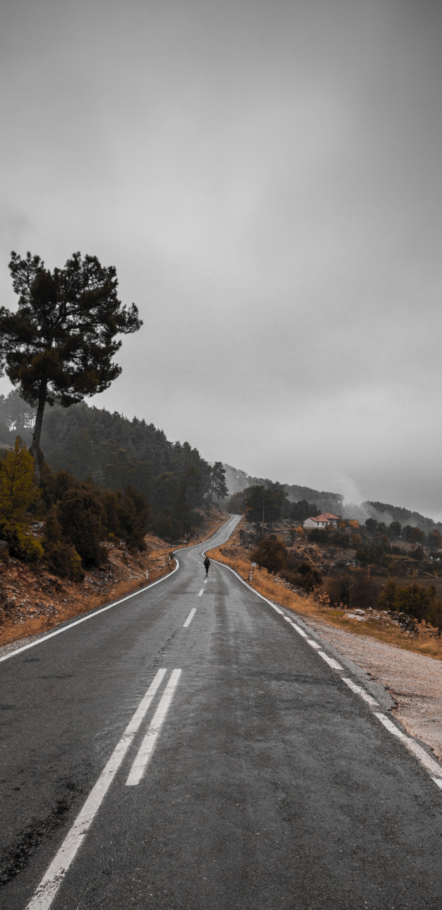 Обои дорога, магистраль, асфальт, переулок, дерево в разрешении 1440x2960