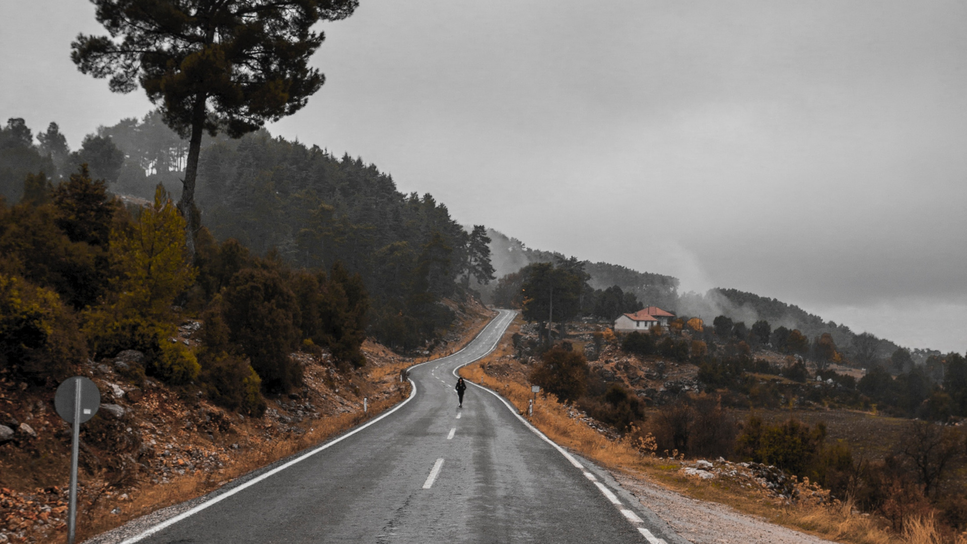 Обои дорога, магистраль, асфальт, переулок, дерево в разрешении 1920x1080