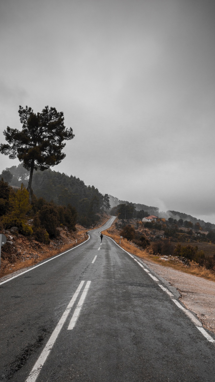 Обои дорога, магистраль, асфальт, переулок, дерево в разрешении 720x1280