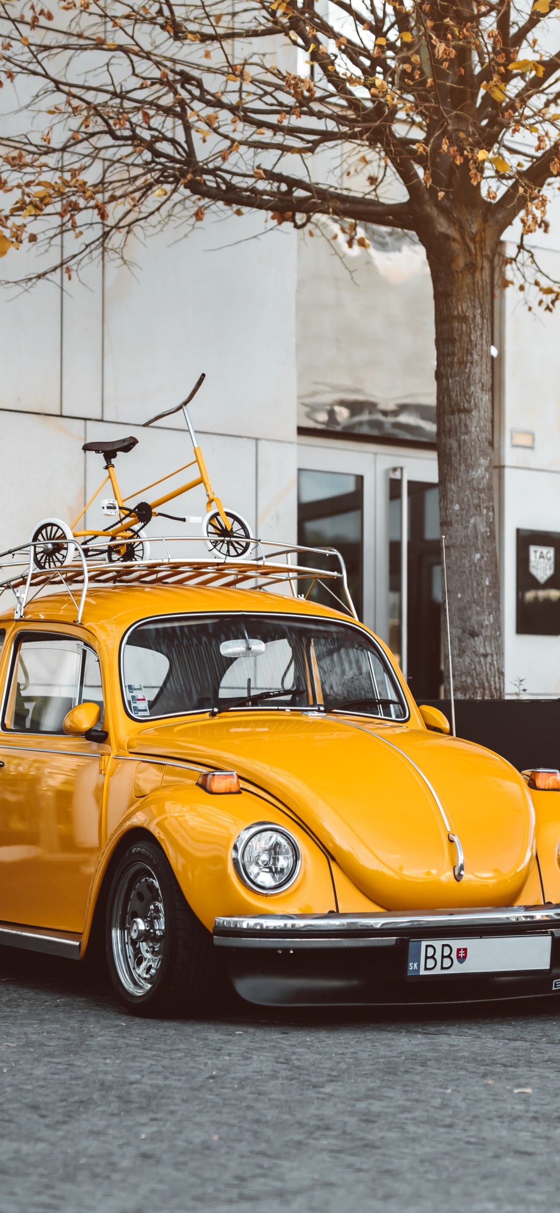 Обои Фольксваген жук, легковые автомобили, Фольксваген, классический автомобиль, старинная машина в разрешении 1125x2436