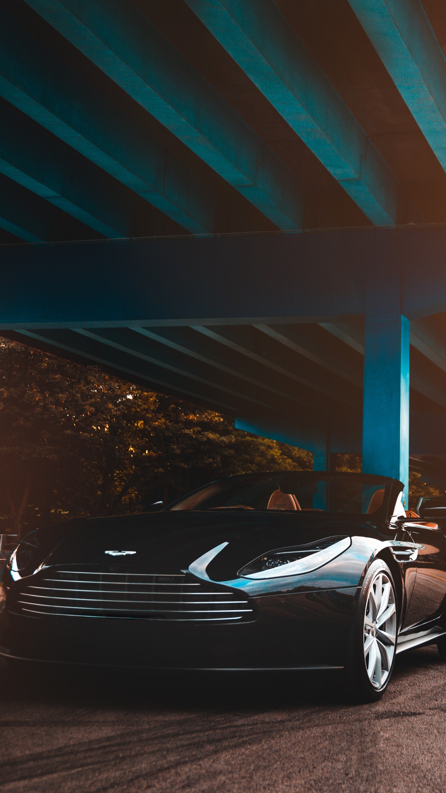 Обои Астон Мартин, спорткар, авто, Астон Мартин db9, суперкар в разрешении 1440x2560