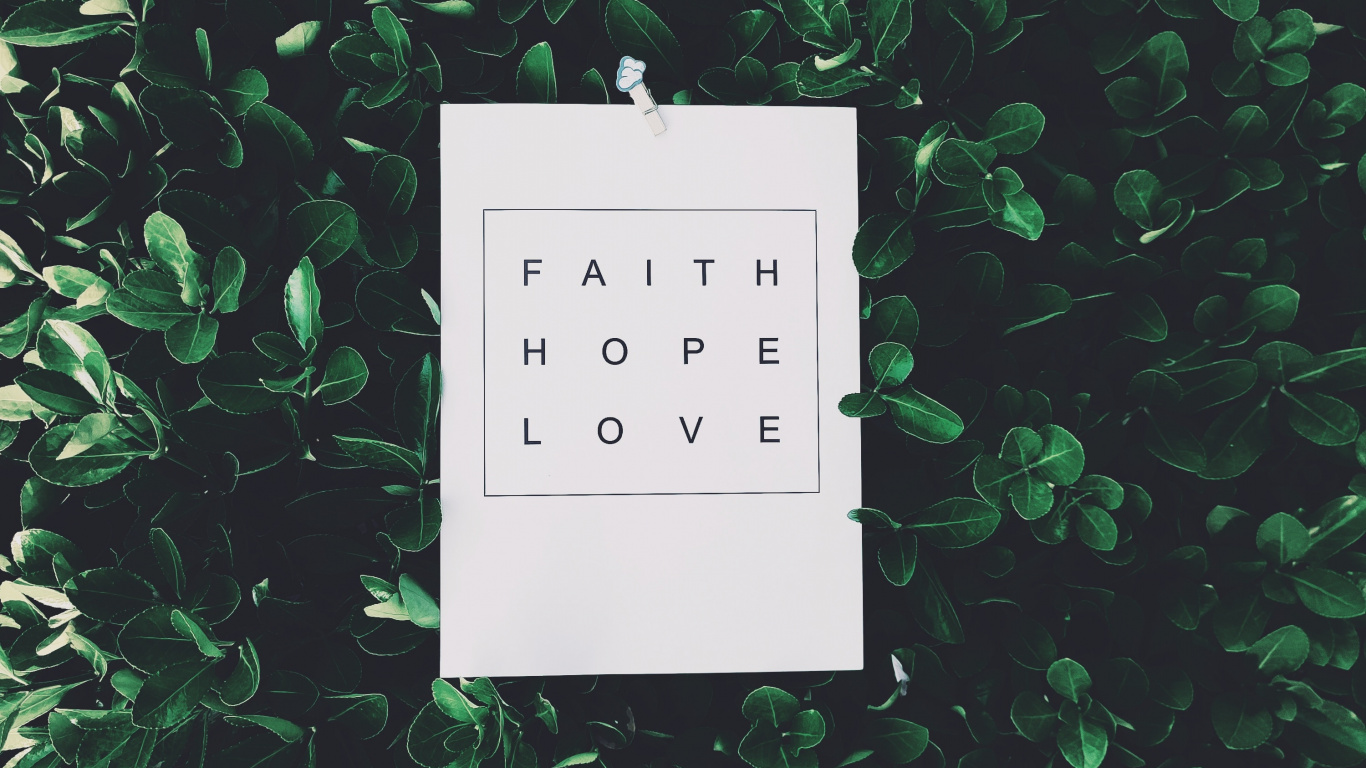 Обои растение, блог, дерево, зеленый, иллюстрация в разрешении 1366x768