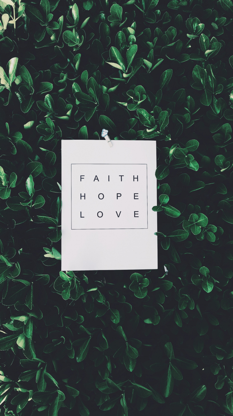 Обои растение, блог, дерево, зеленый, иллюстрация в разрешении 750x1334