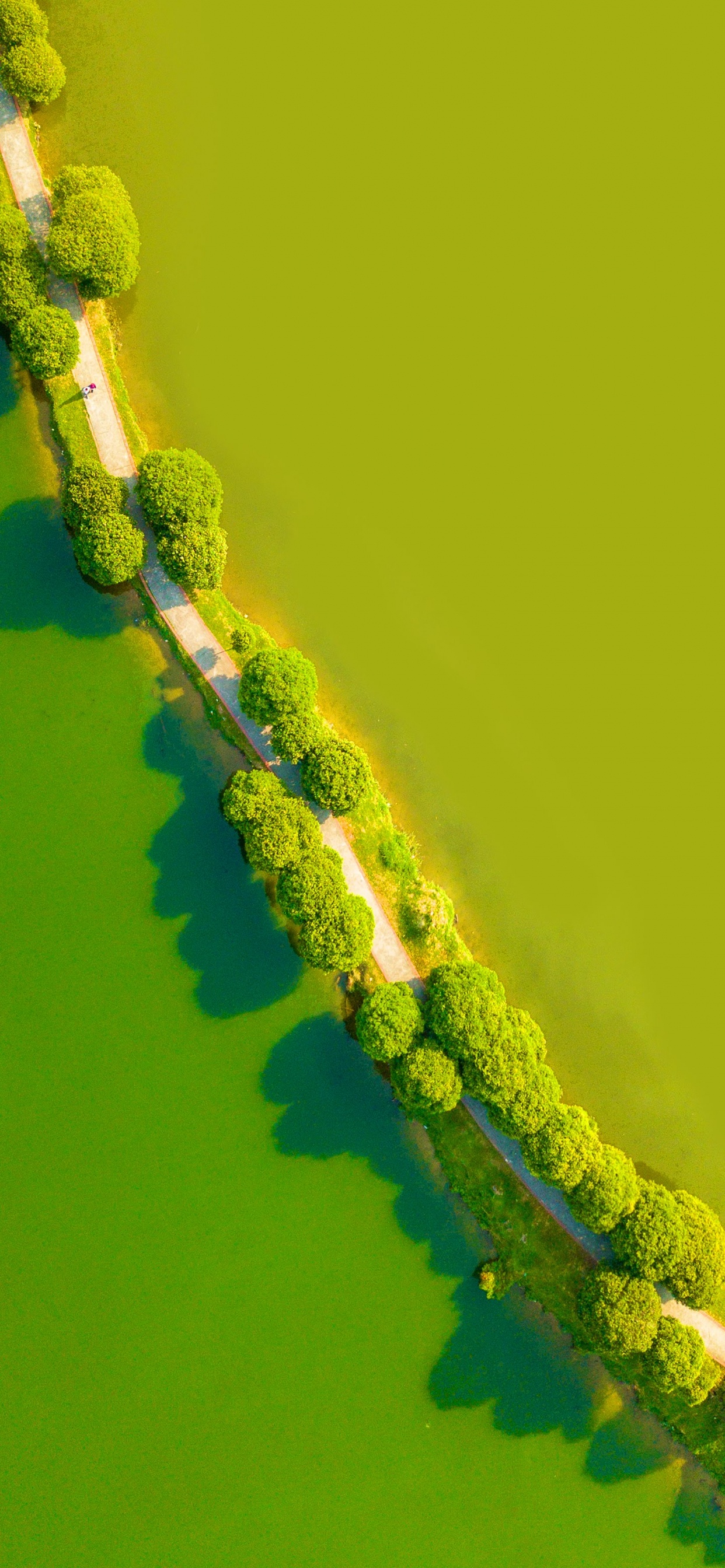 Обои LG, LG G8 ThinQ, андроид, смартфон, зеленый в разрешении 1242x2688