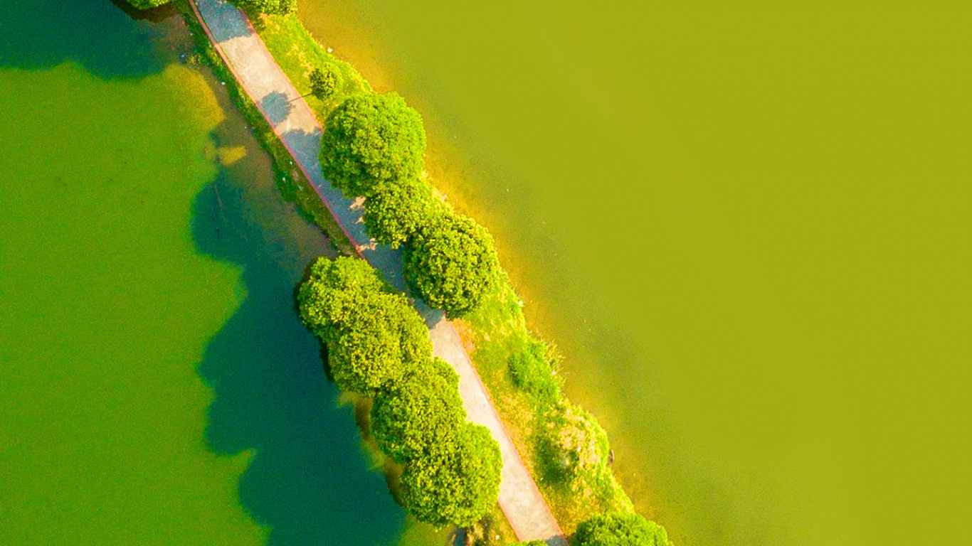 Обои LG, LG G8 ThinQ, андроид, смартфон, зеленый в разрешении 1366x768