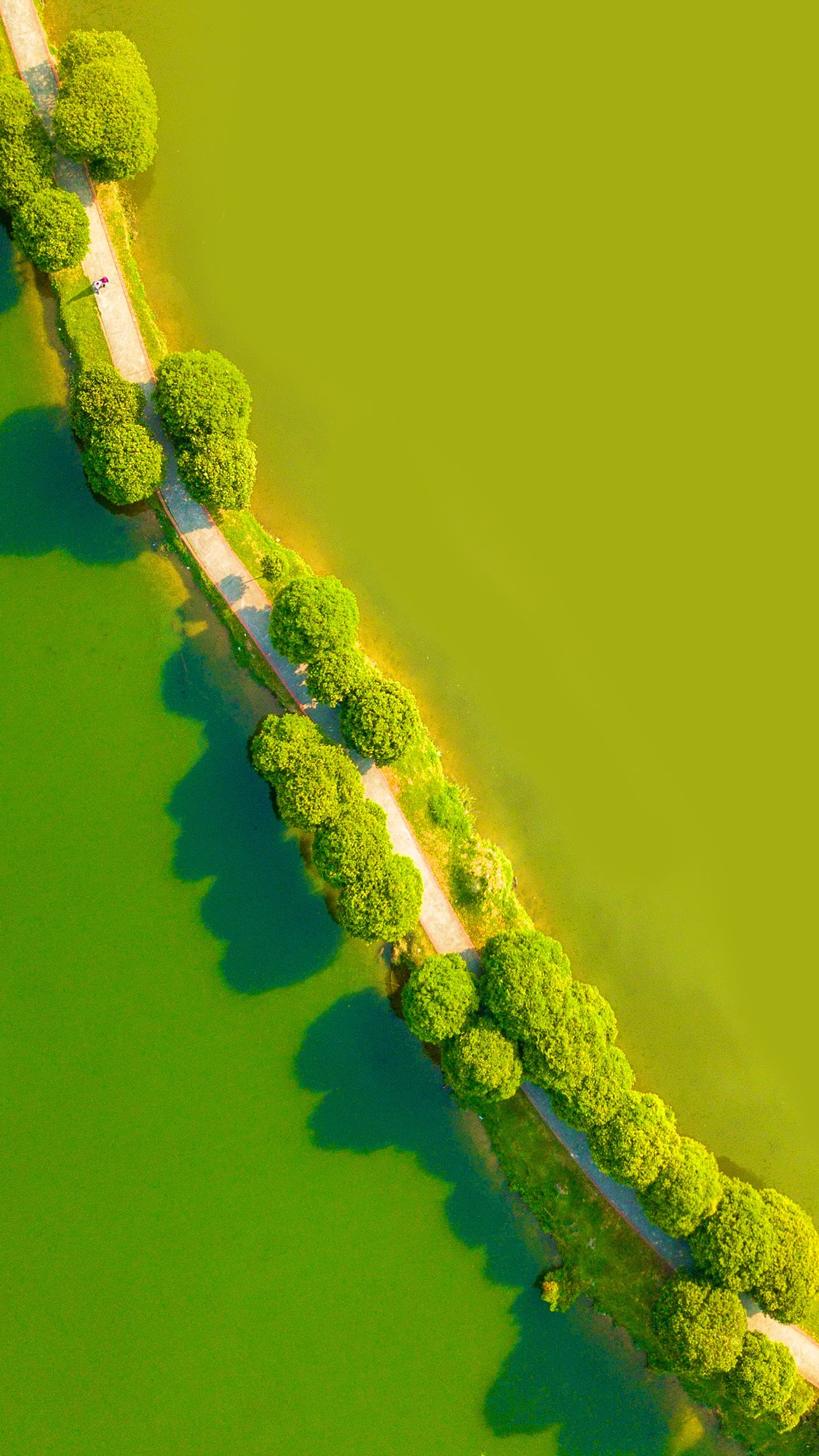 Обои LG, LG G8 ThinQ, андроид, смартфон, зеленый в разрешении 1440x2560