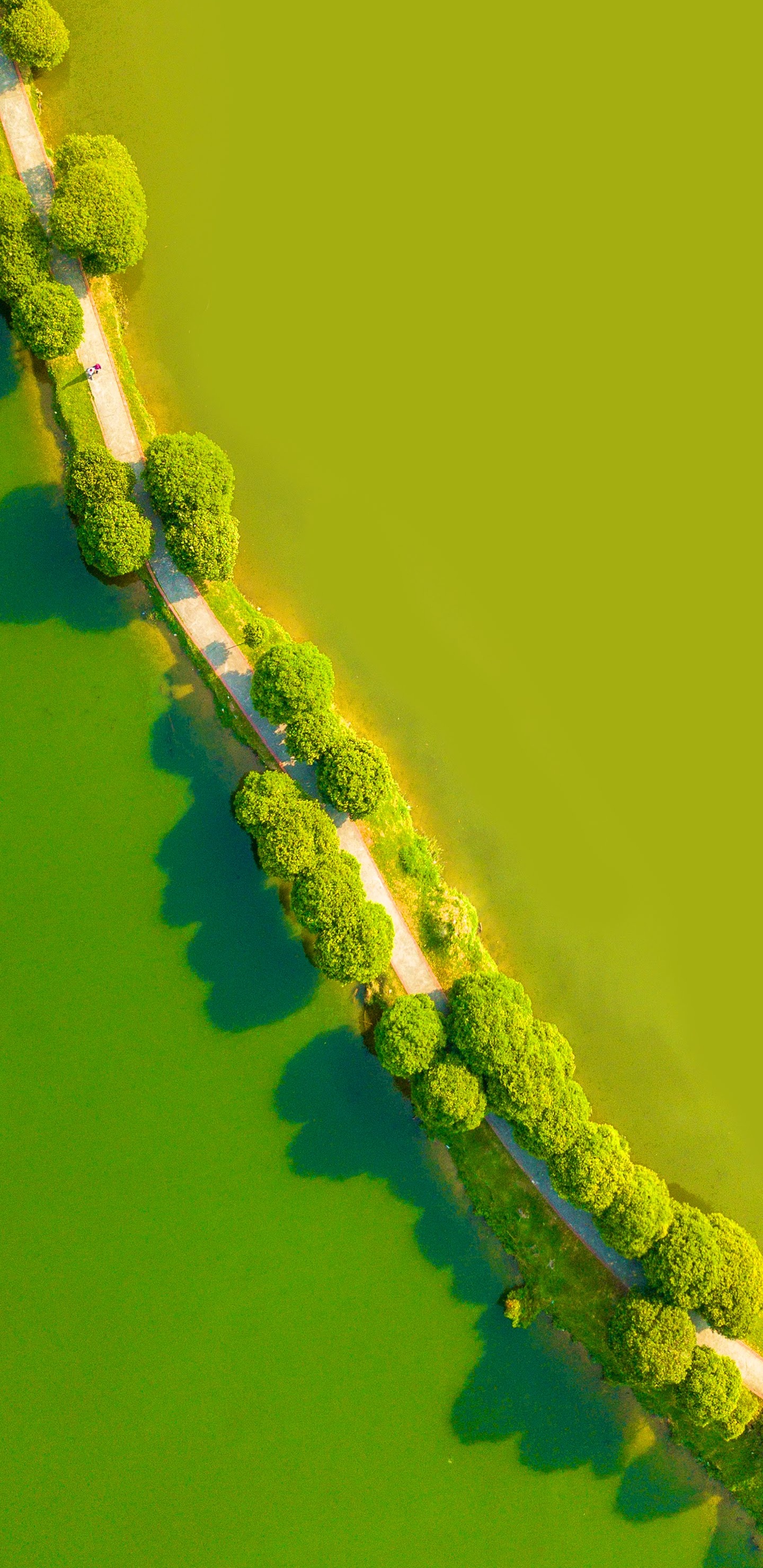 Обои LG, LG G8 ThinQ, андроид, смартфон, зеленый в разрешении 1440x2960