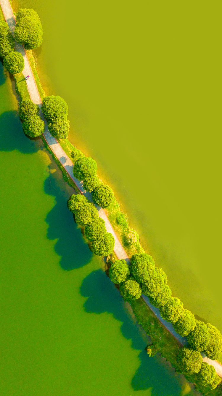 Обои LG, LG G8 ThinQ, андроид, смартфон, зеленый в разрешении 750x1334