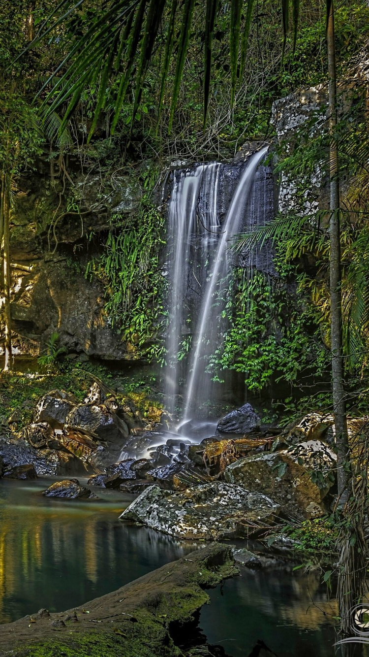 Обои водопад, природный заповедник, реки, водоем, природа в разрешении 750x1334