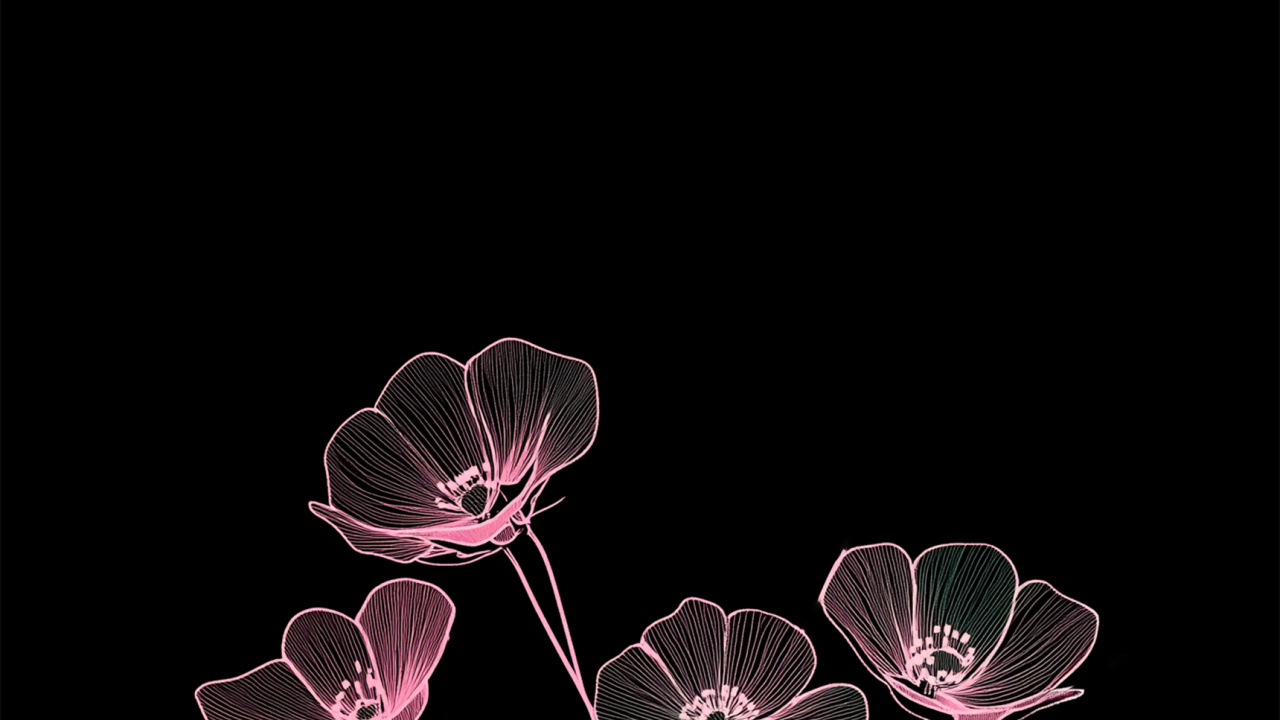 Обои темнота, мир, пользователь, цветок, 2025 в разрешении 1280x720