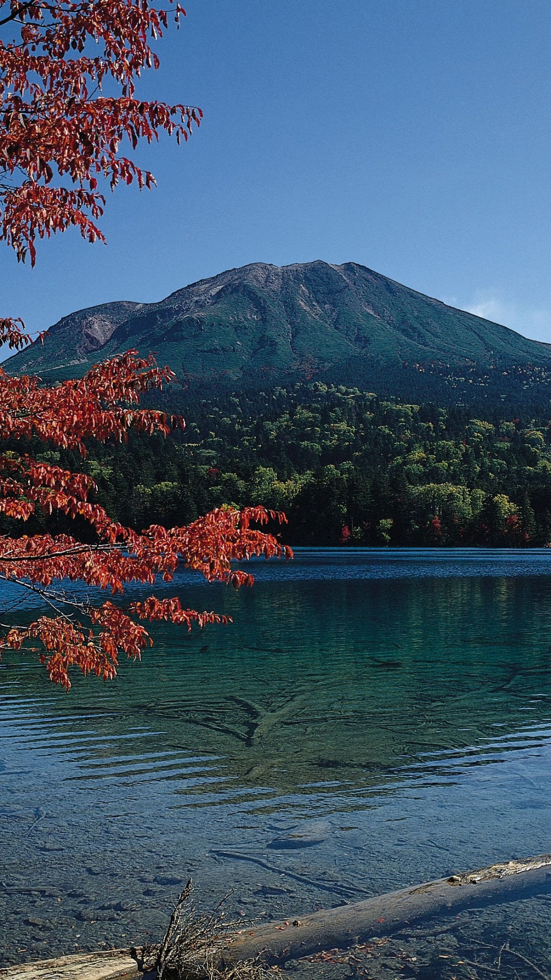 Обои природа, отражение, гора, озеро, дерево в разрешении 1080x1920