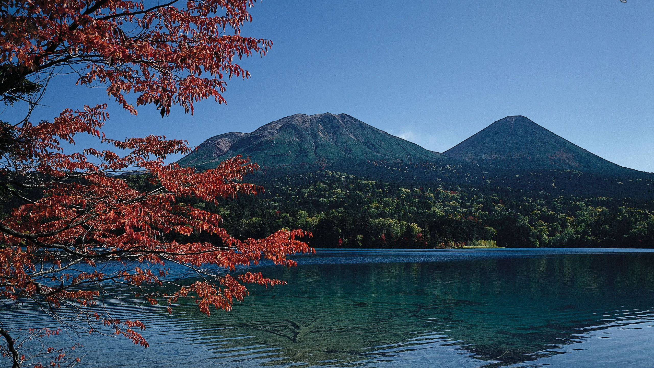 Обои природа, отражение, гора, озеро, дерево в разрешении 2560x1440