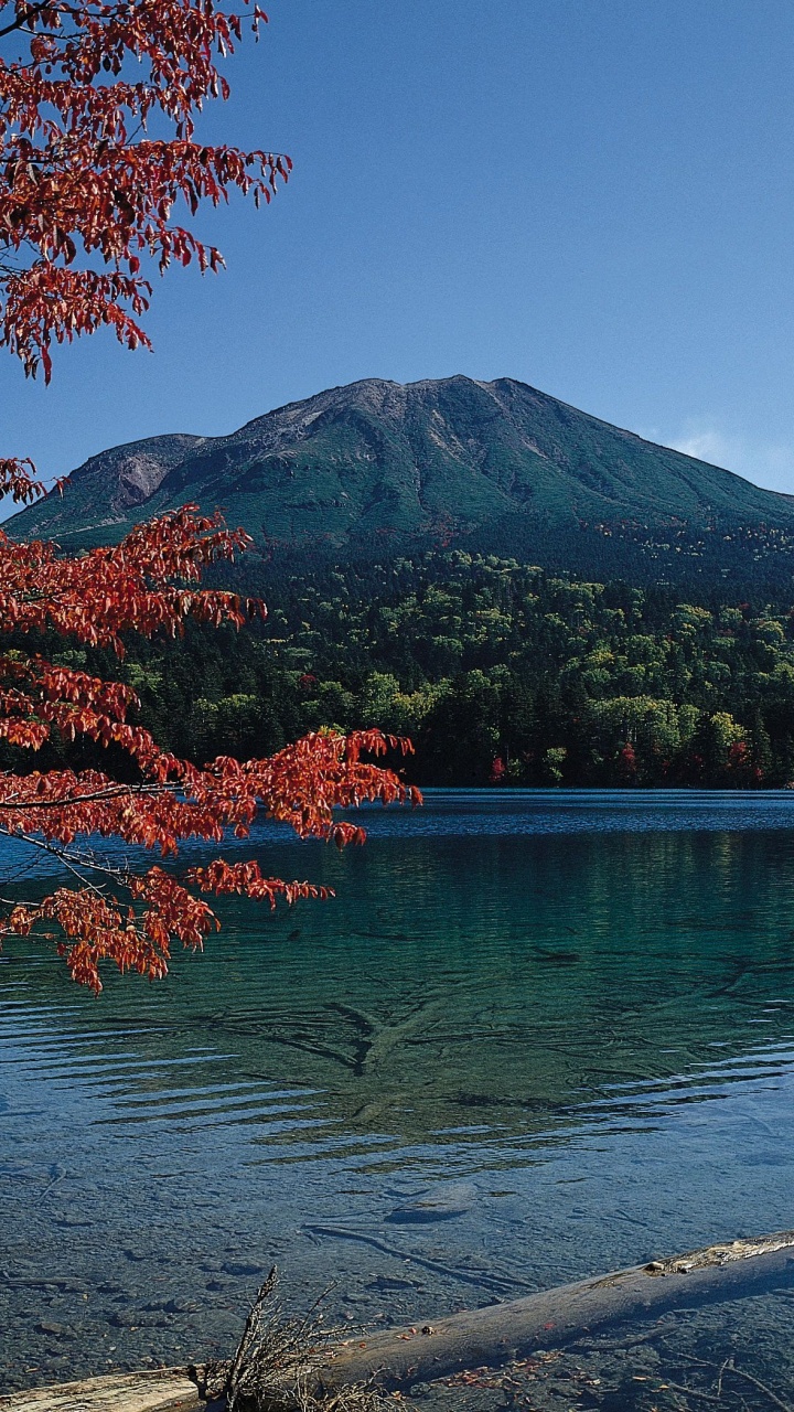 Обои природа, отражение, гора, озеро, дерево в разрешении 720x1280