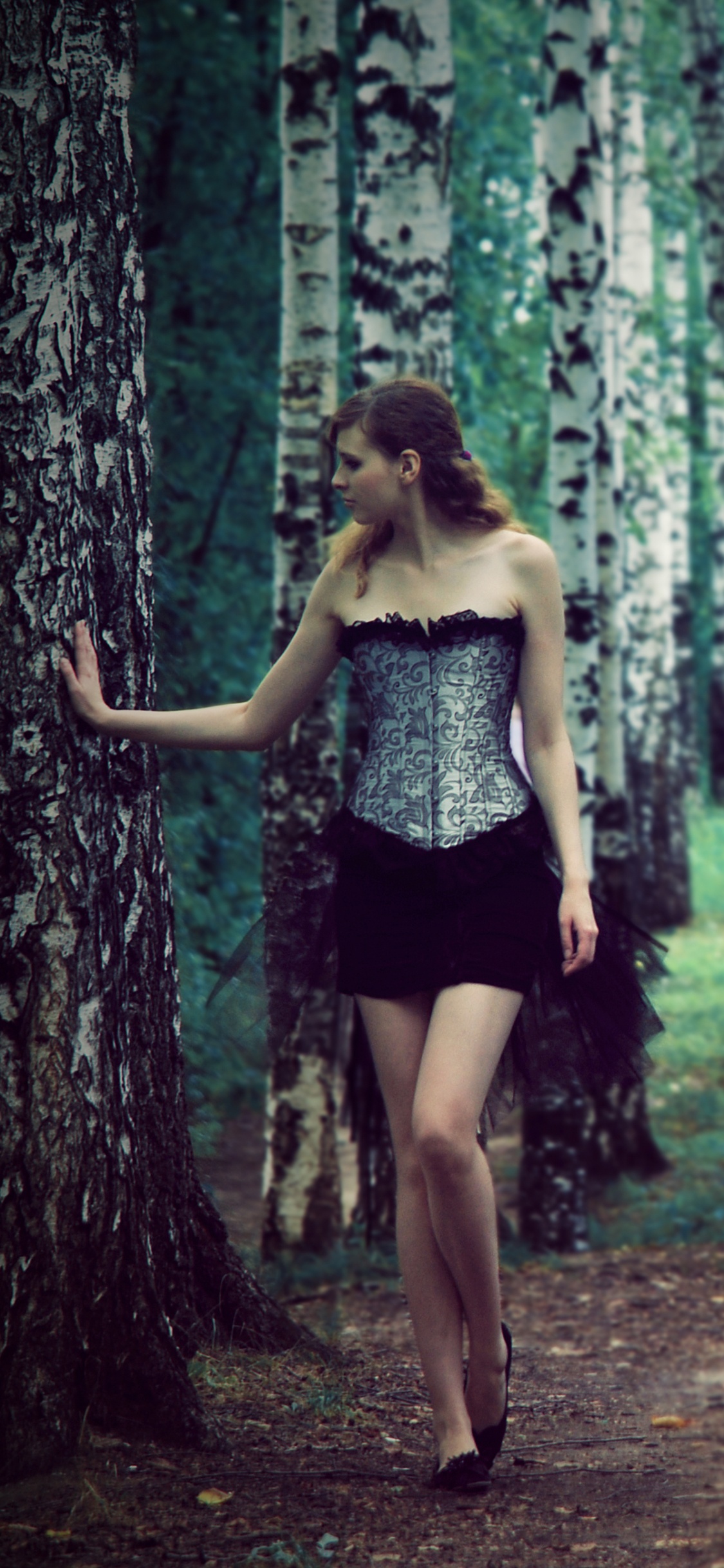 Обои природа, дерево, лес, лесистая местность, старовозрастные леса в разрешении 1125x2436