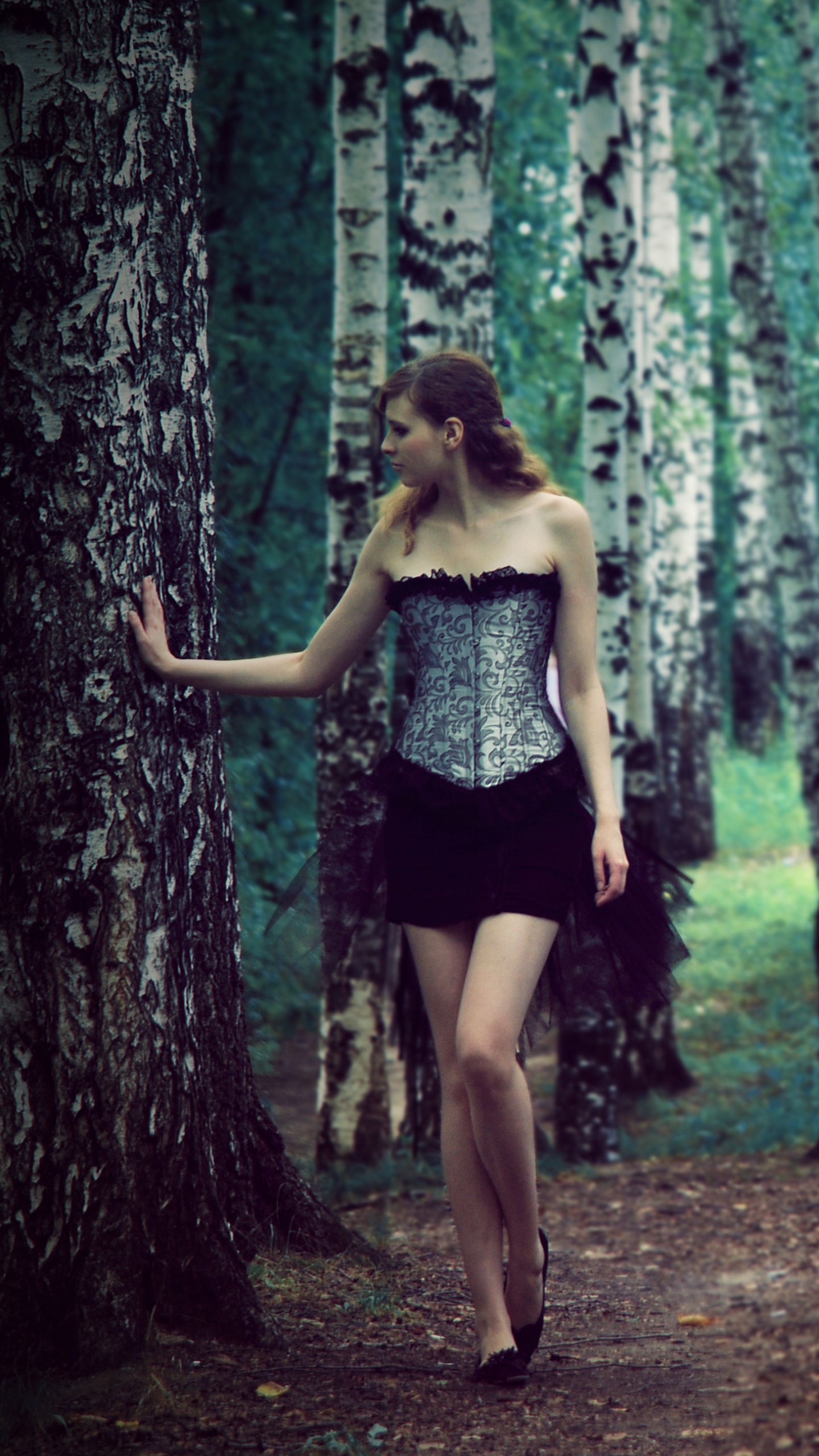 Обои природа, дерево, лес, лесистая местность, старовозрастные леса в разрешении 1440x2560