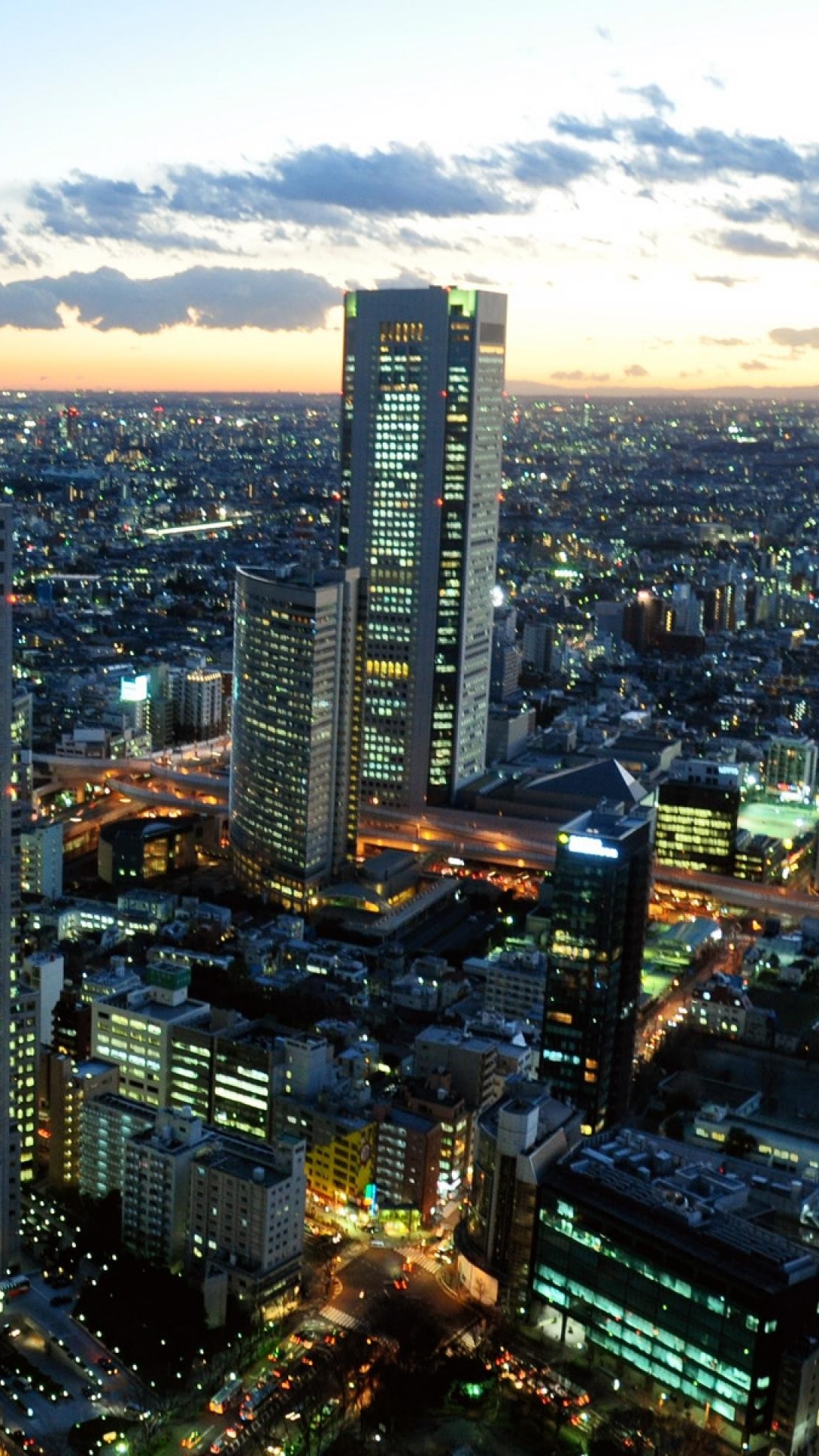 Обои городской пейзаж, город, городской район, метрополия, линия горизонта в разрешении 1080x1920