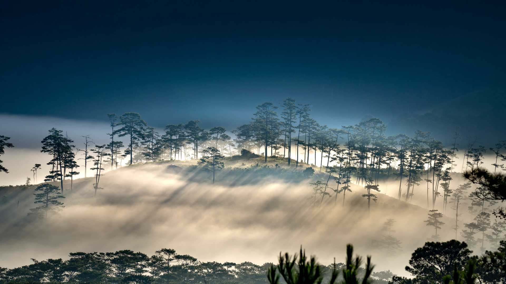 Обои облако, атмосфера, растение, природный ландшафт, ветвь в разрешении 1920x1080