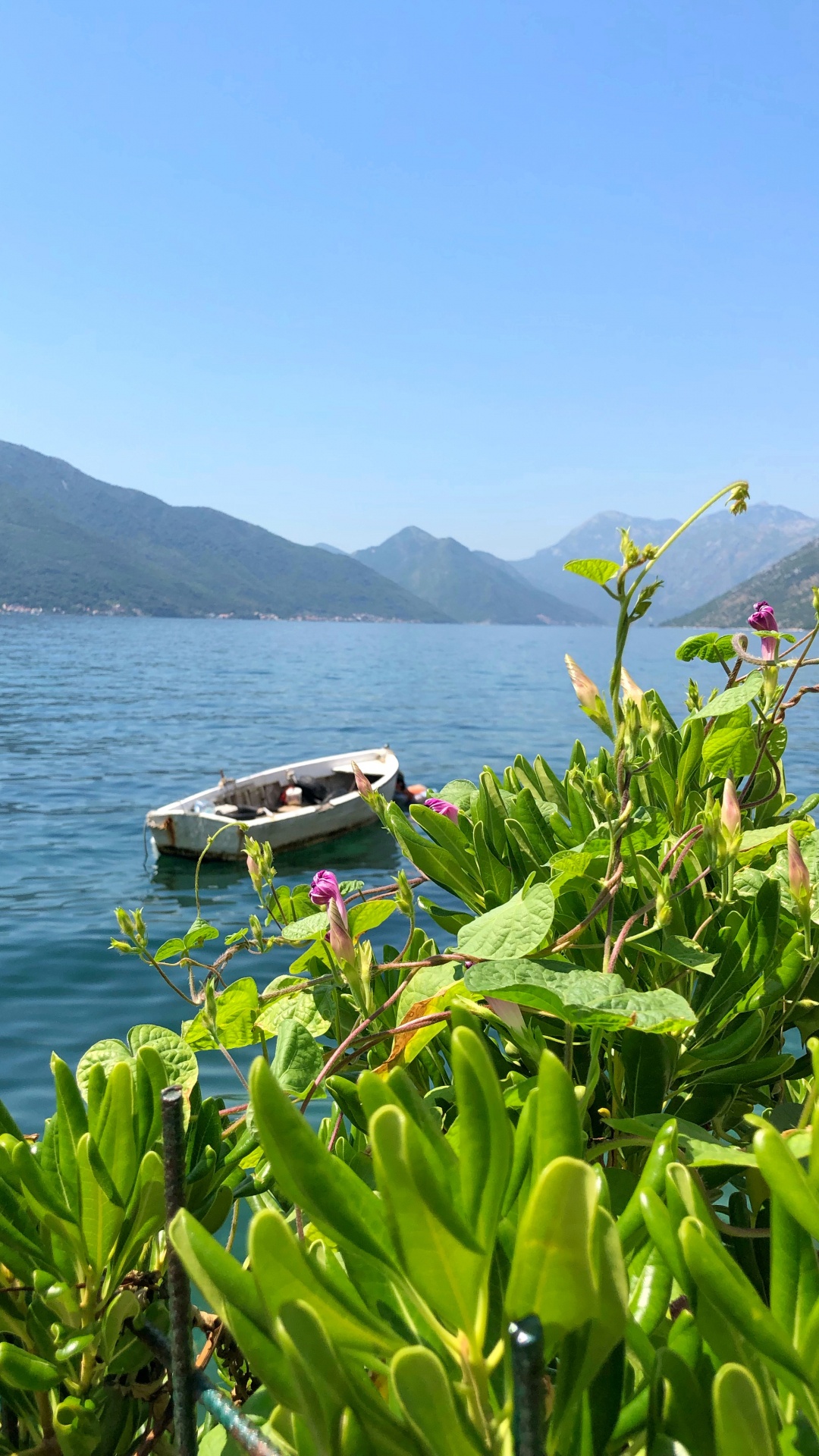 Обои природа, водоем, горный рельеф, растительность, побережье в разрешении 1080x1920