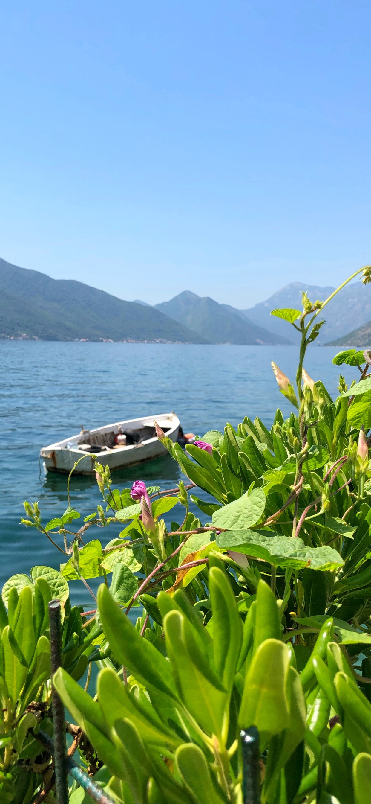 Обои природа, водоем, горный рельеф, растительность, побережье в разрешении 1242x2688