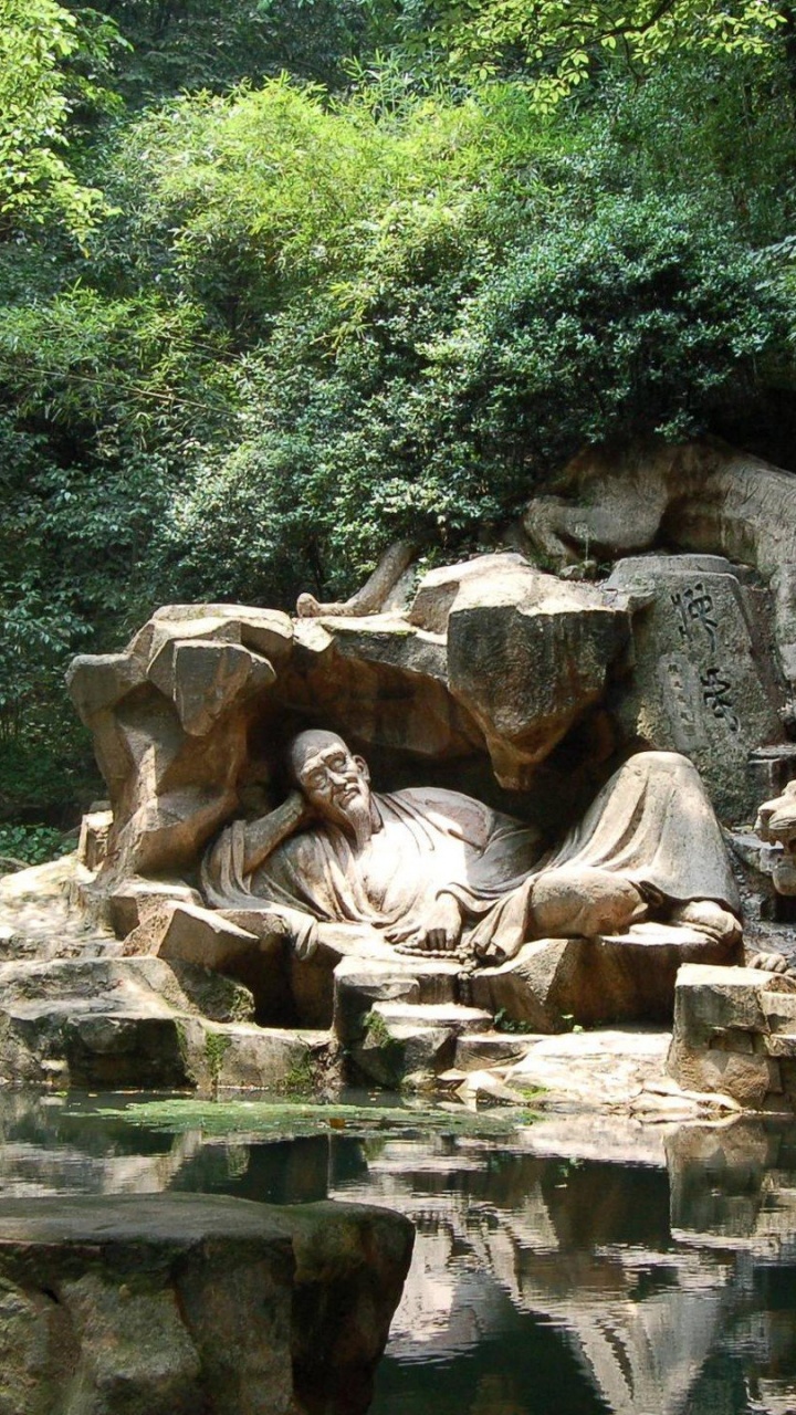 Обои Мечтая о тигре весны, природа, природный заповедник, дерево, рок в разрешении 720x1280