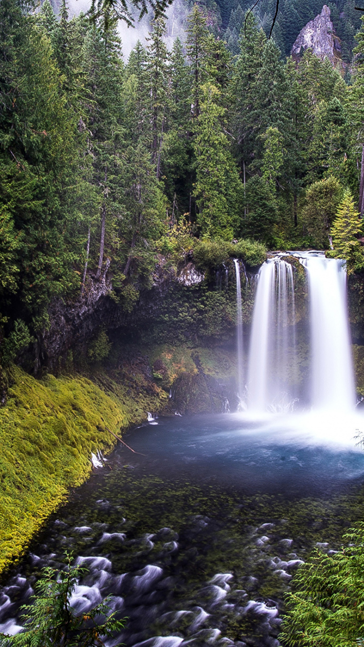 Обои водопад, гидроресурсы, водоем, природа, природный заповедник в разрешении 750x1334