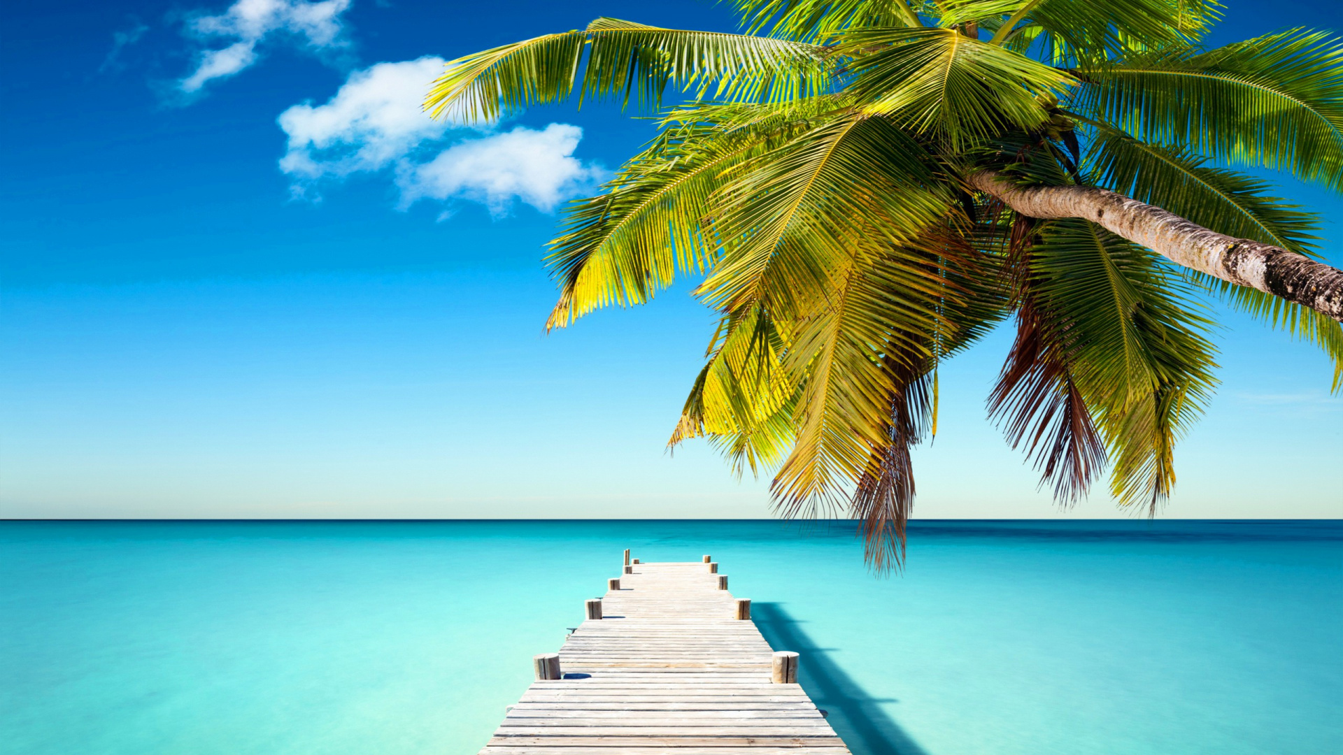 Обои море, тропическая зона, Карибский бассейн, океан, отпуск в разрешении 1920x1080