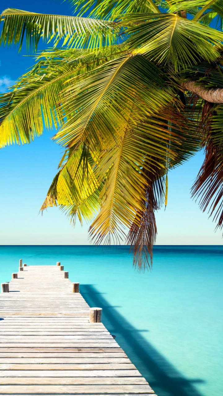 Обои море, тропическая зона, Карибский бассейн, океан, отпуск в разрешении 720x1280