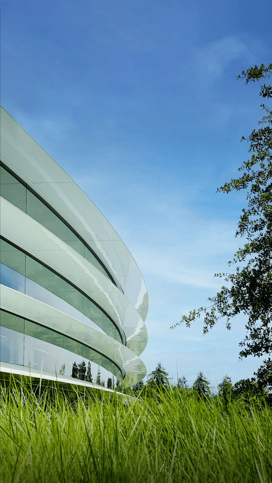 Обои Яблочный Парк, iOS 16, яблоко, ios, iOS 14 в разрешении 1080x1920