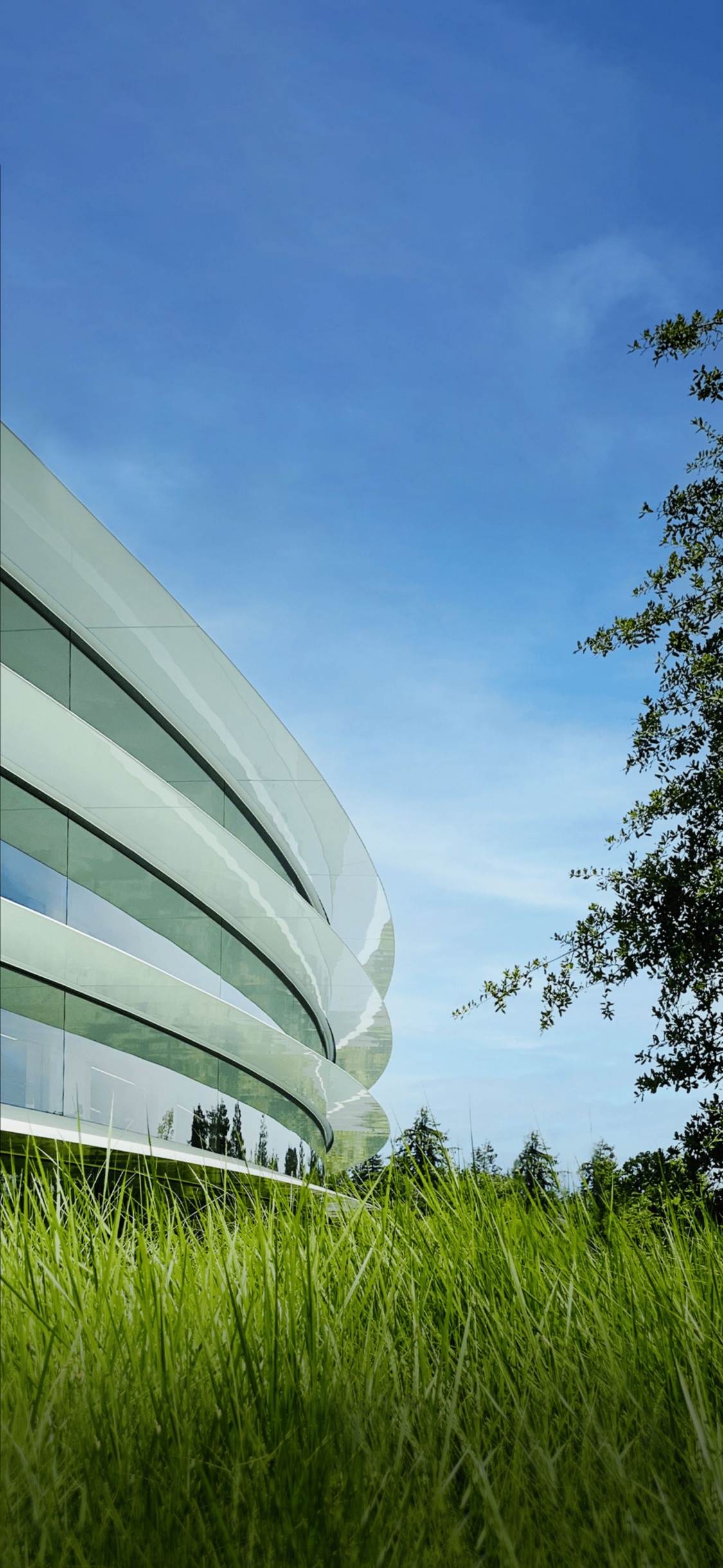 Обои Яблочный Парк, iOS 16, яблоко, ios, iOS 14 в разрешении 1125x2436