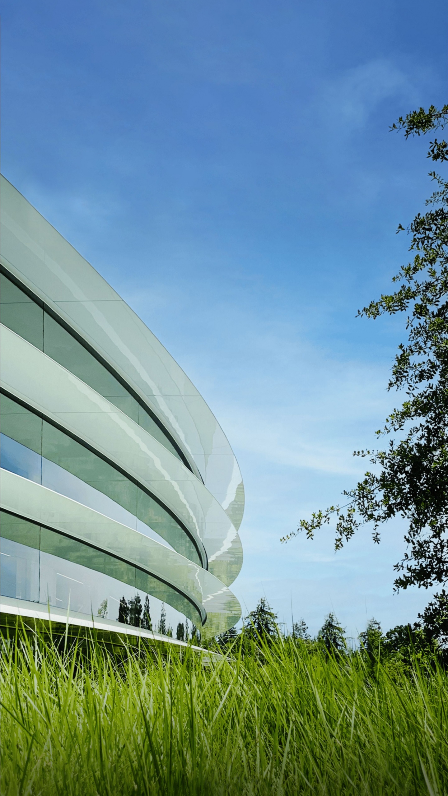 Обои Яблочный Парк, iOS 16, яблоко, ios, iOS 14 в разрешении 1440x2560