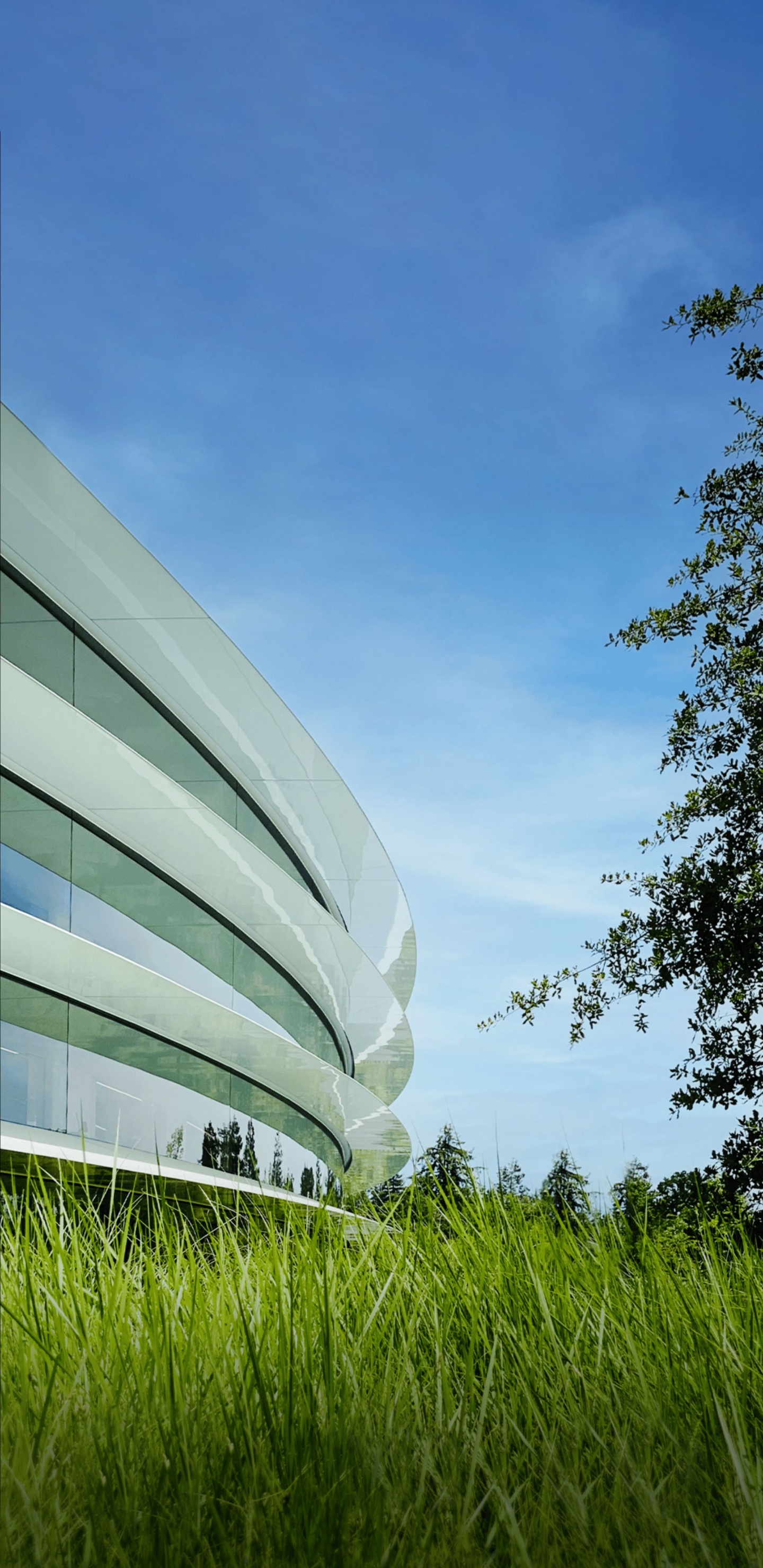 Обои Яблочный Парк, iOS 16, яблоко, ios, iOS 14 в разрешении 1440x2960