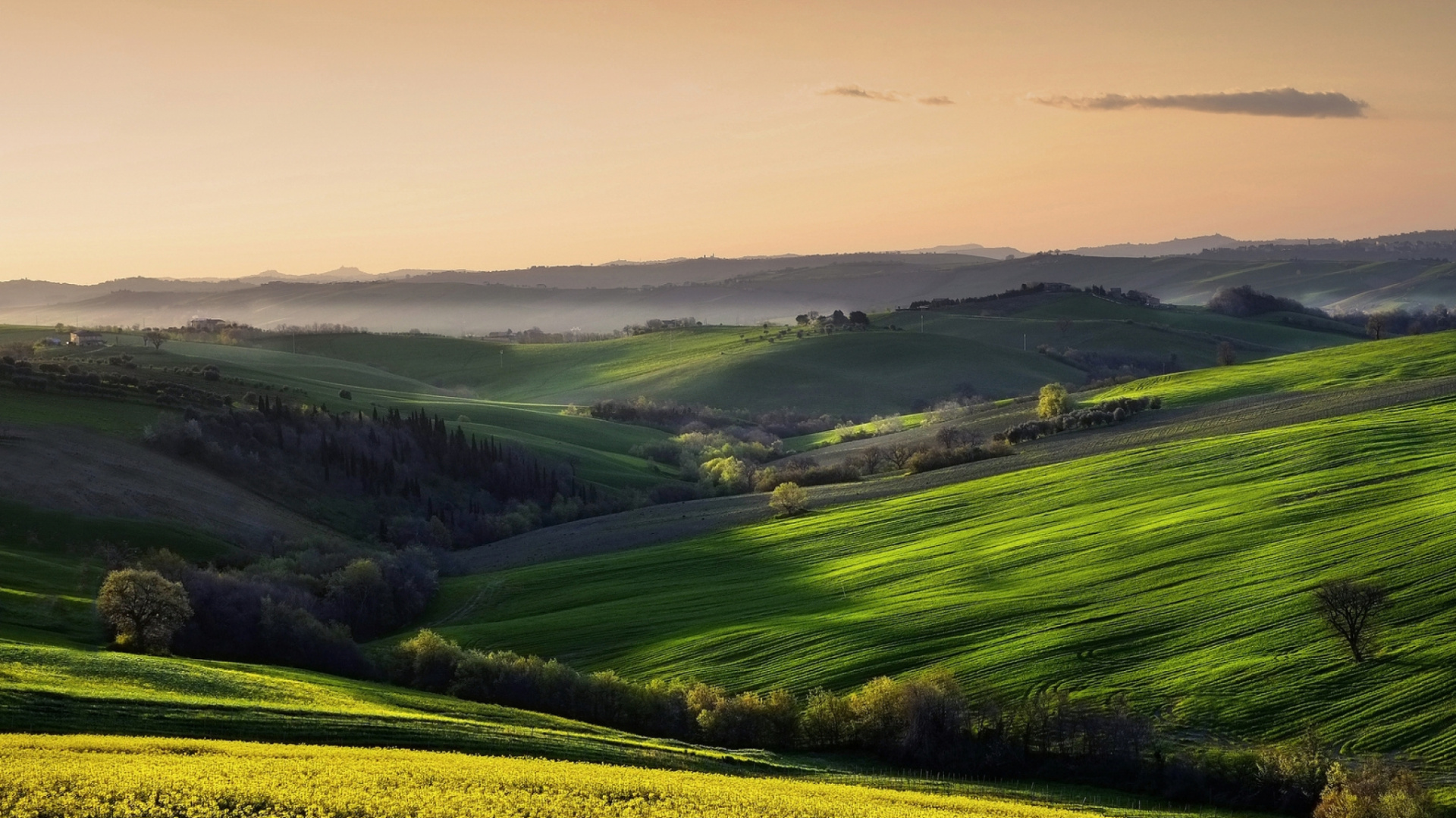 Обои природа, зеленый, холм, утро, рассвет в разрешении 1920x1080