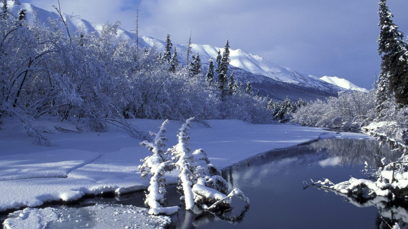 Обои зима, снег, замораживание, гора, дерево в разрешении 1366x768