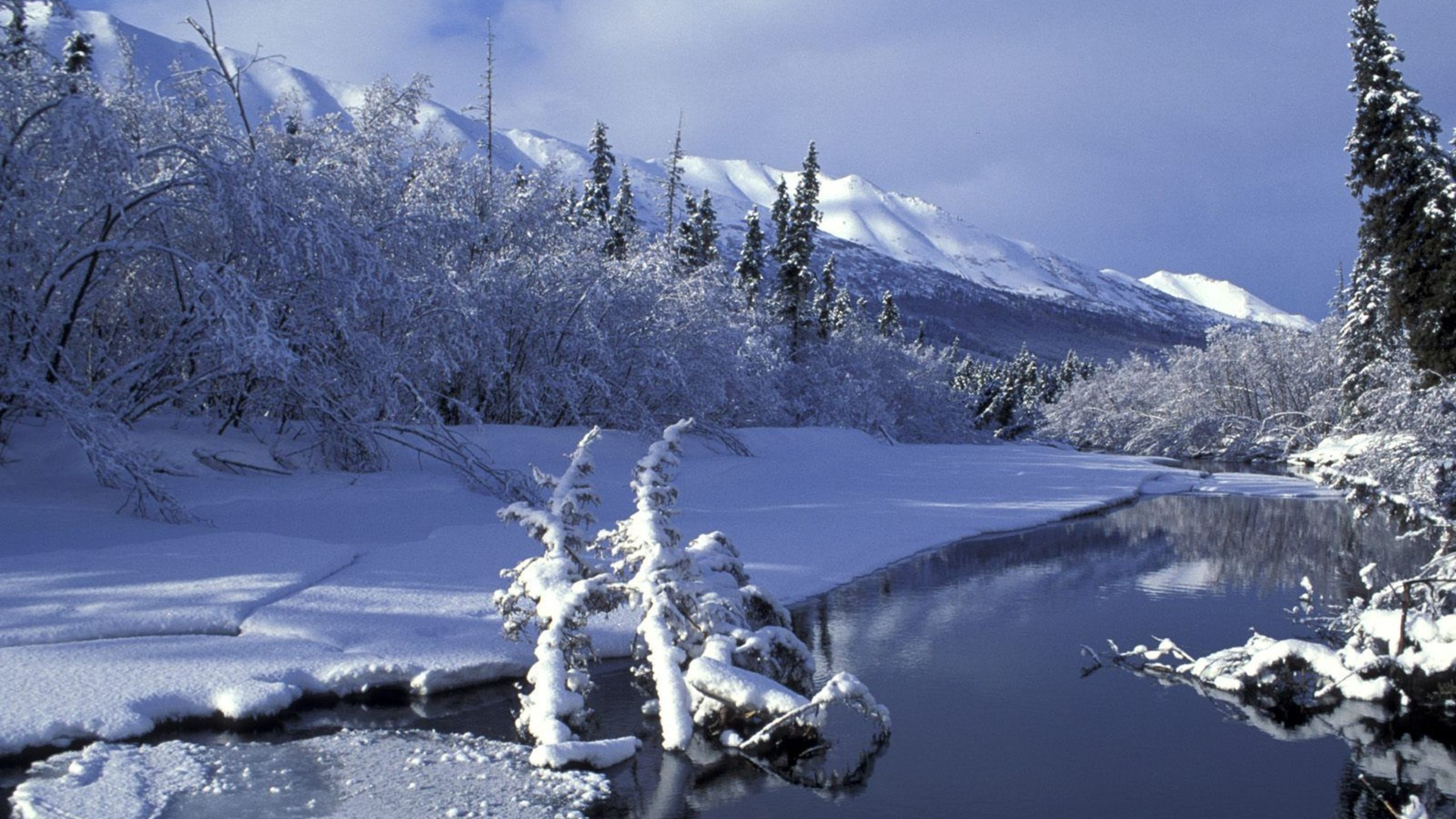 Обои зима, снег, замораживание, гора, дерево в разрешении 2560x1440