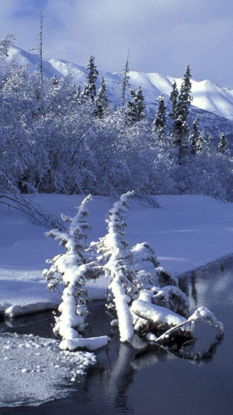 Обои зима, снег, замораживание, гора, дерево в разрешении 750x1334