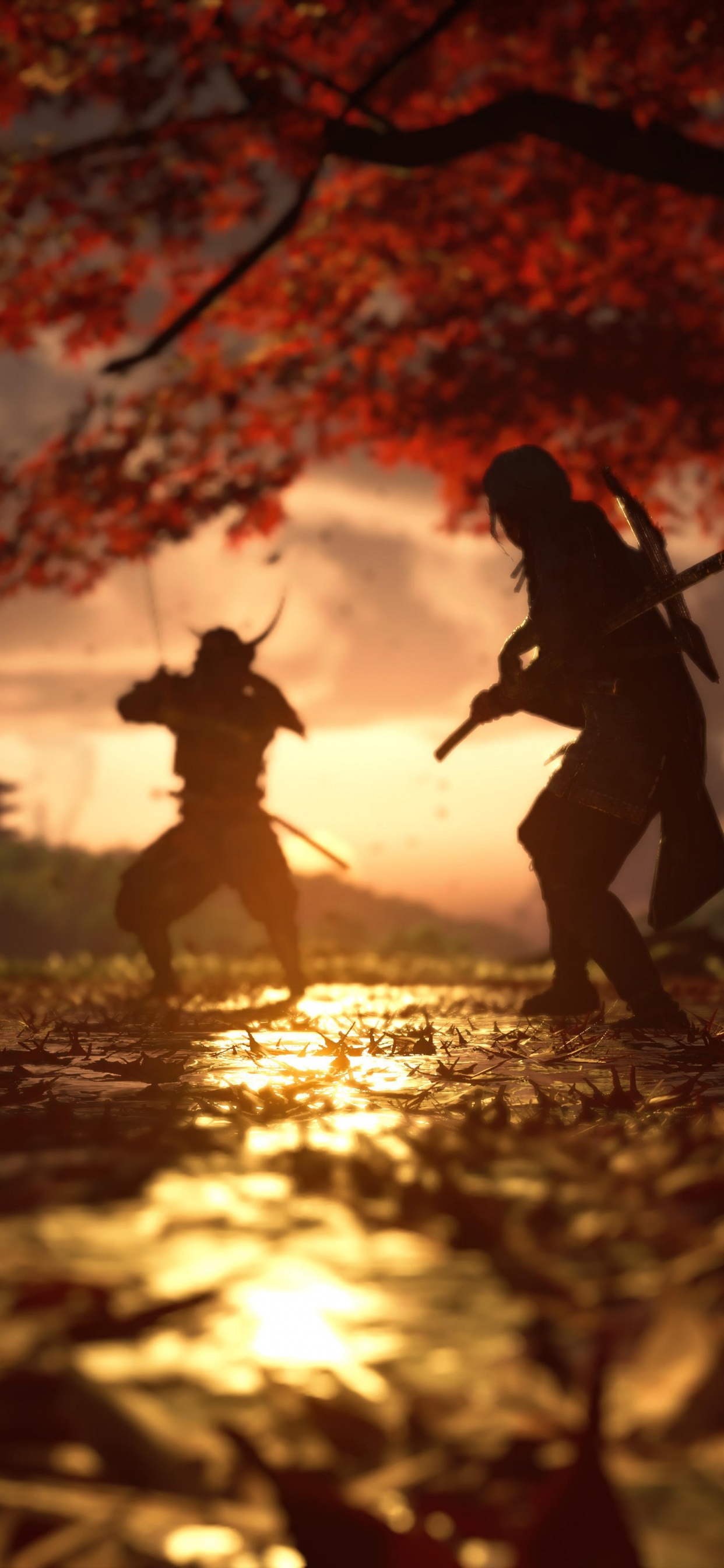 Обои лист, призрак цусимы, Люди в природе, вода, растение в разрешении 1242x2688