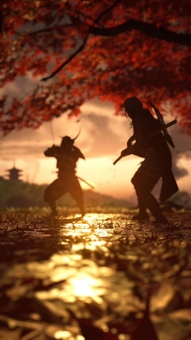 Обои лист, призрак цусимы, Люди в природе, вода, растение в разрешении 750x1334