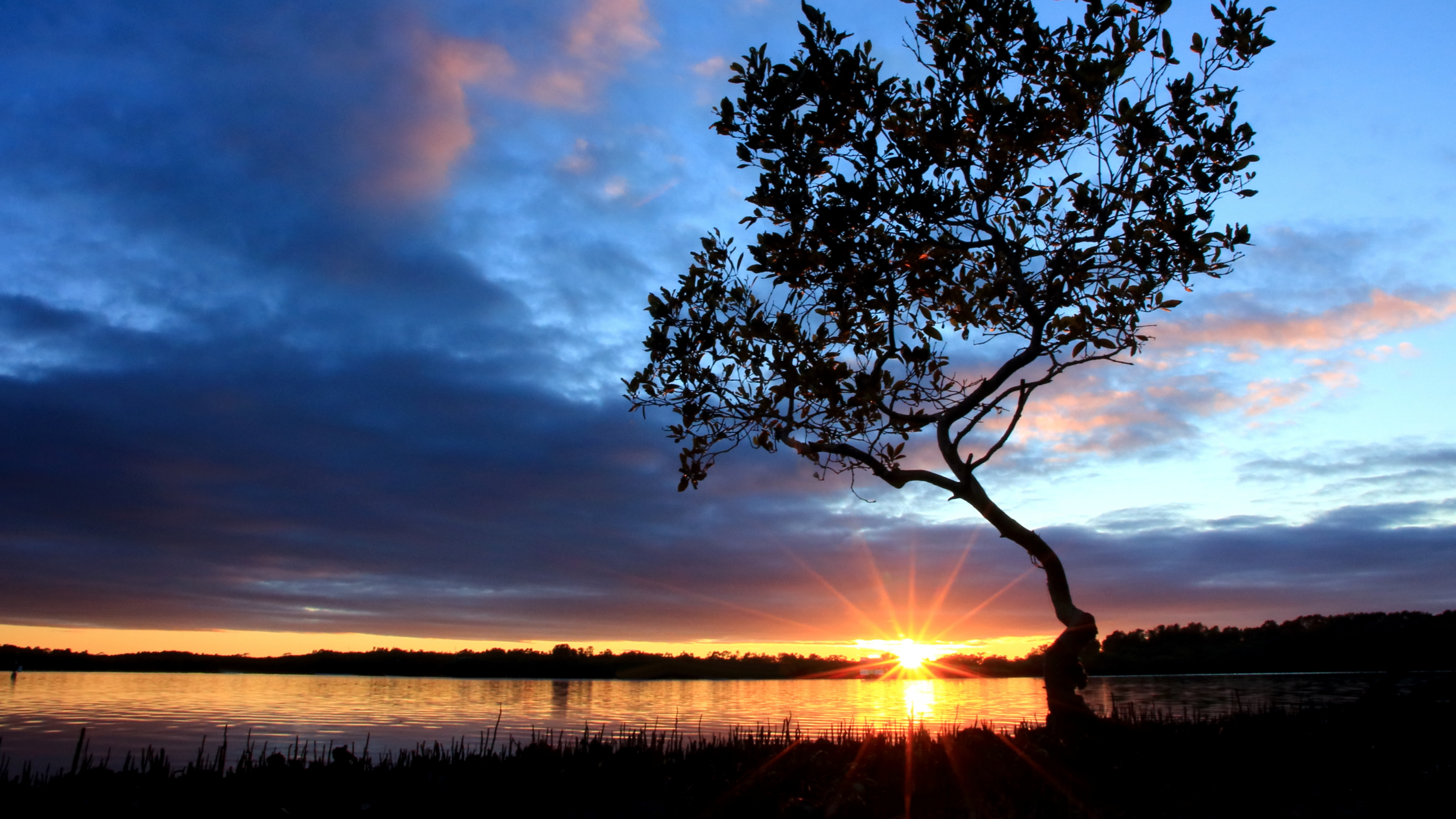 Обои дерево, облако, закат, горизонт, восход солнца в разрешении 3840x2160