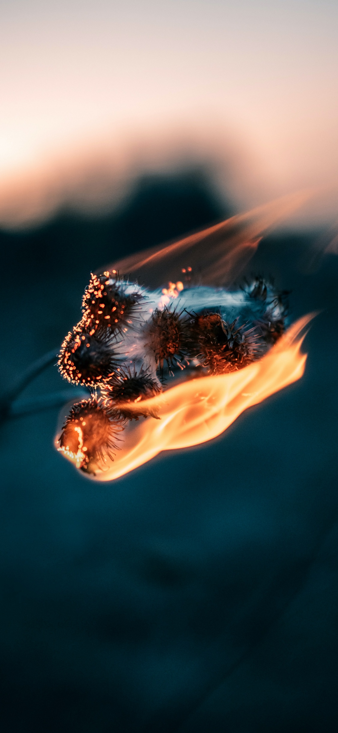 Обои вода, романтический музыкальный опыт, песня, Apple Музыка, спотифай в разрешении 1125x2436