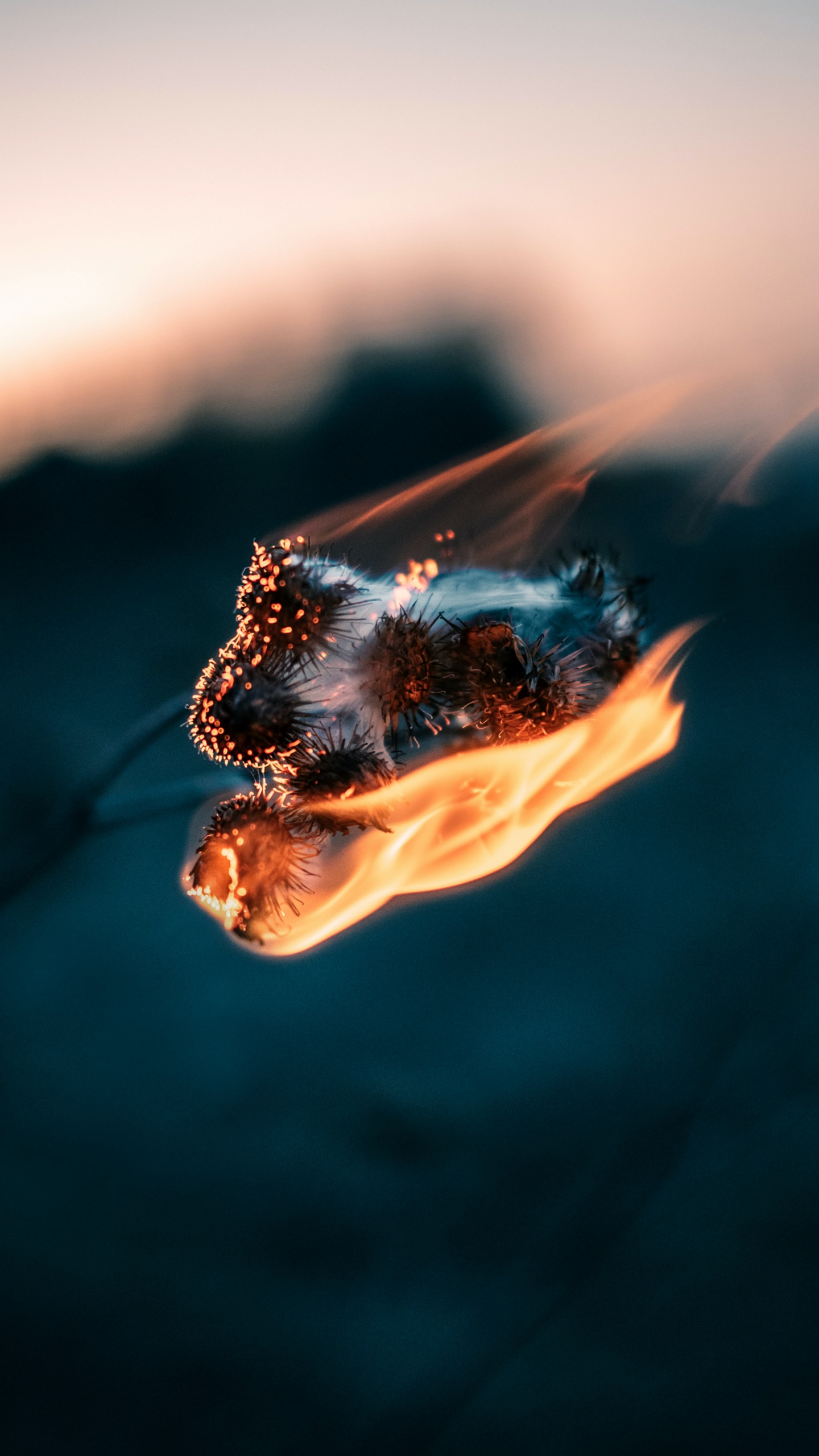 Обои вода, романтический музыкальный опыт, песня, Apple Музыка, спотифай в разрешении 1440x2560