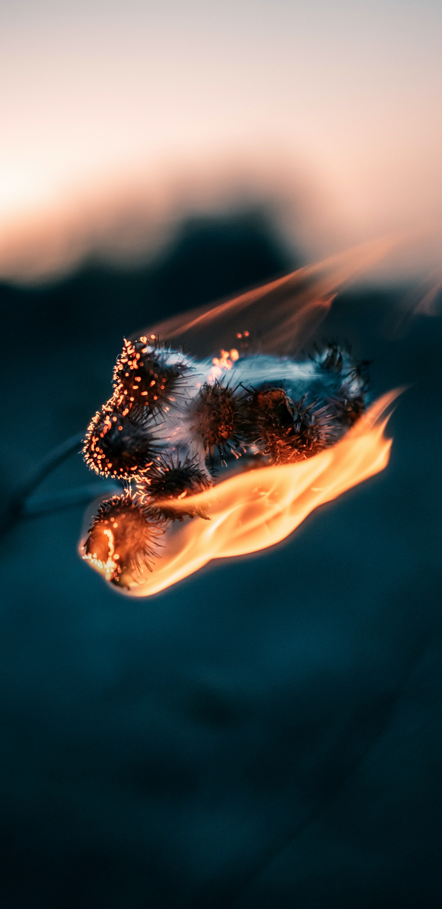 Обои вода, романтический музыкальный опыт, песня, Apple Музыка, спотифай в разрешении 1440x2960