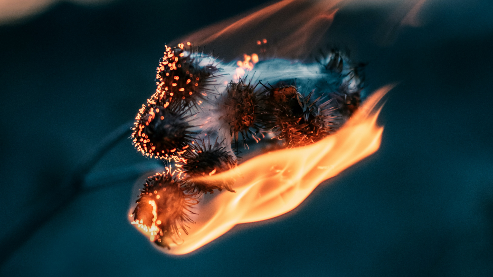 Обои вода, романтический музыкальный опыт, песня, Apple Музыка, спотифай в разрешении 1920x1080