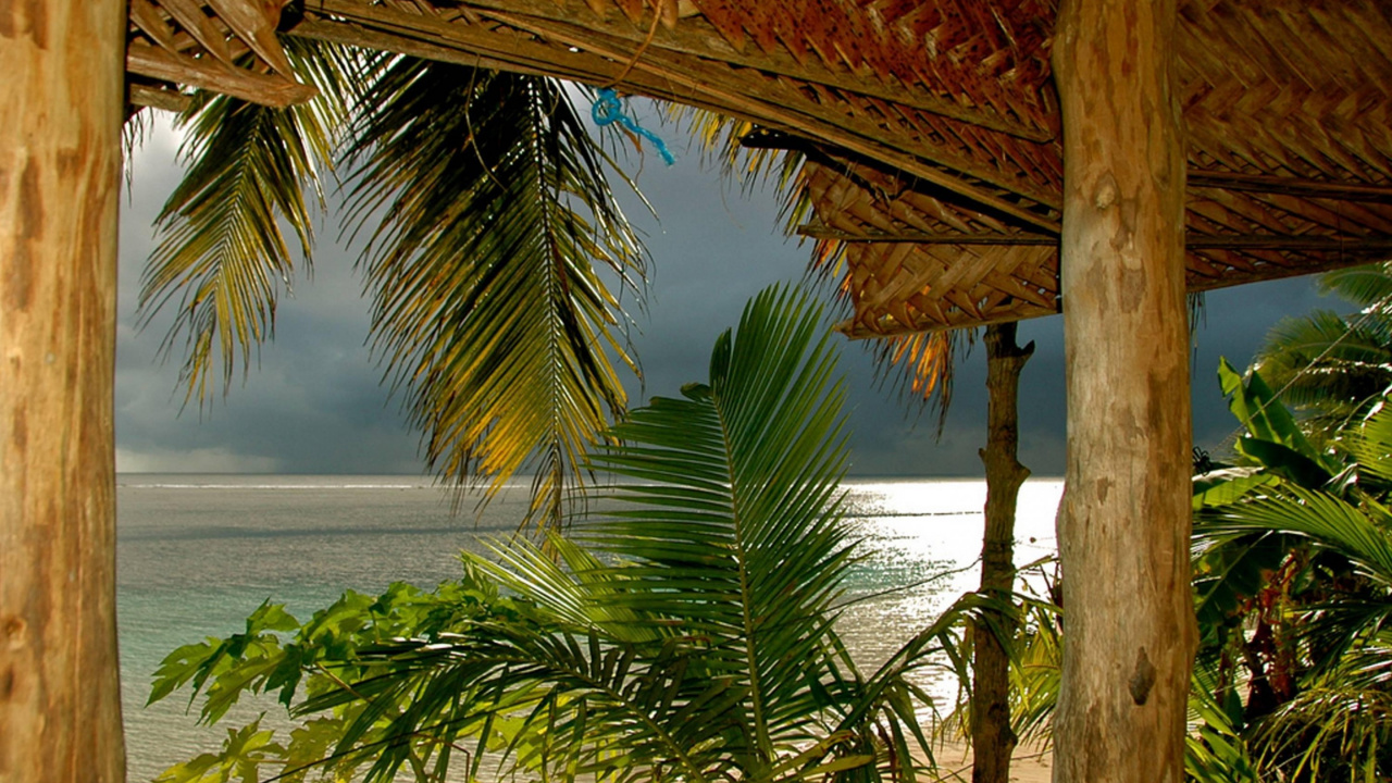 Обои Самоа, Американское Самоа, дерево, Пальма, тропическая зона в разрешении 1280x720