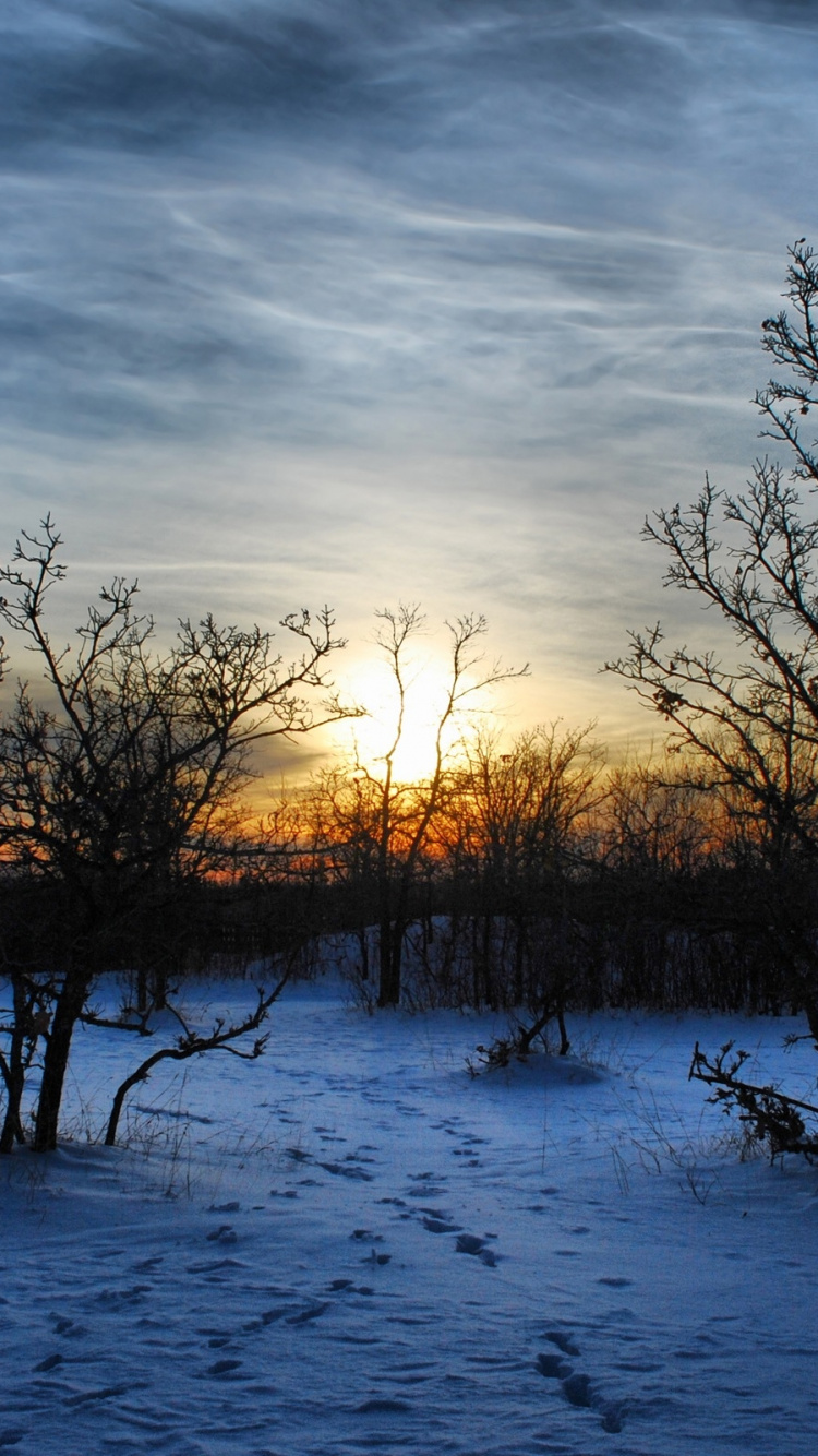 Обои снег, природа, облако, дерево, вода в разрешении 750x1334