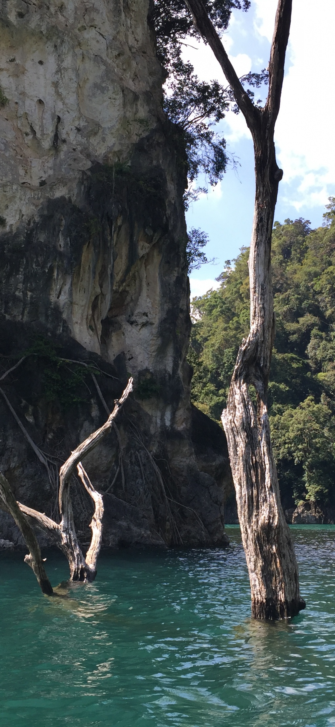 Обои природный заповедник, природный ландшафт, рок, местность, коренная порода в разрешении 1125x2436