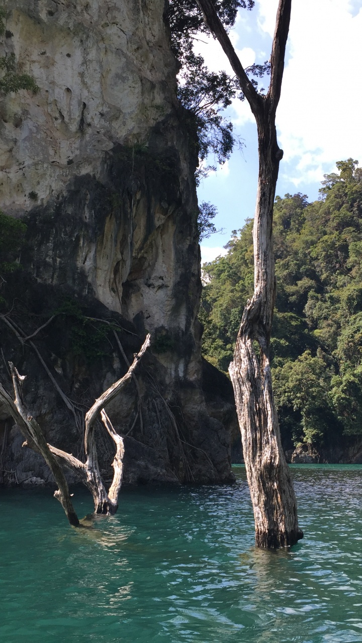 Обои природный заповедник, природный ландшафт, рок, местность, коренная порода в разрешении 720x1280