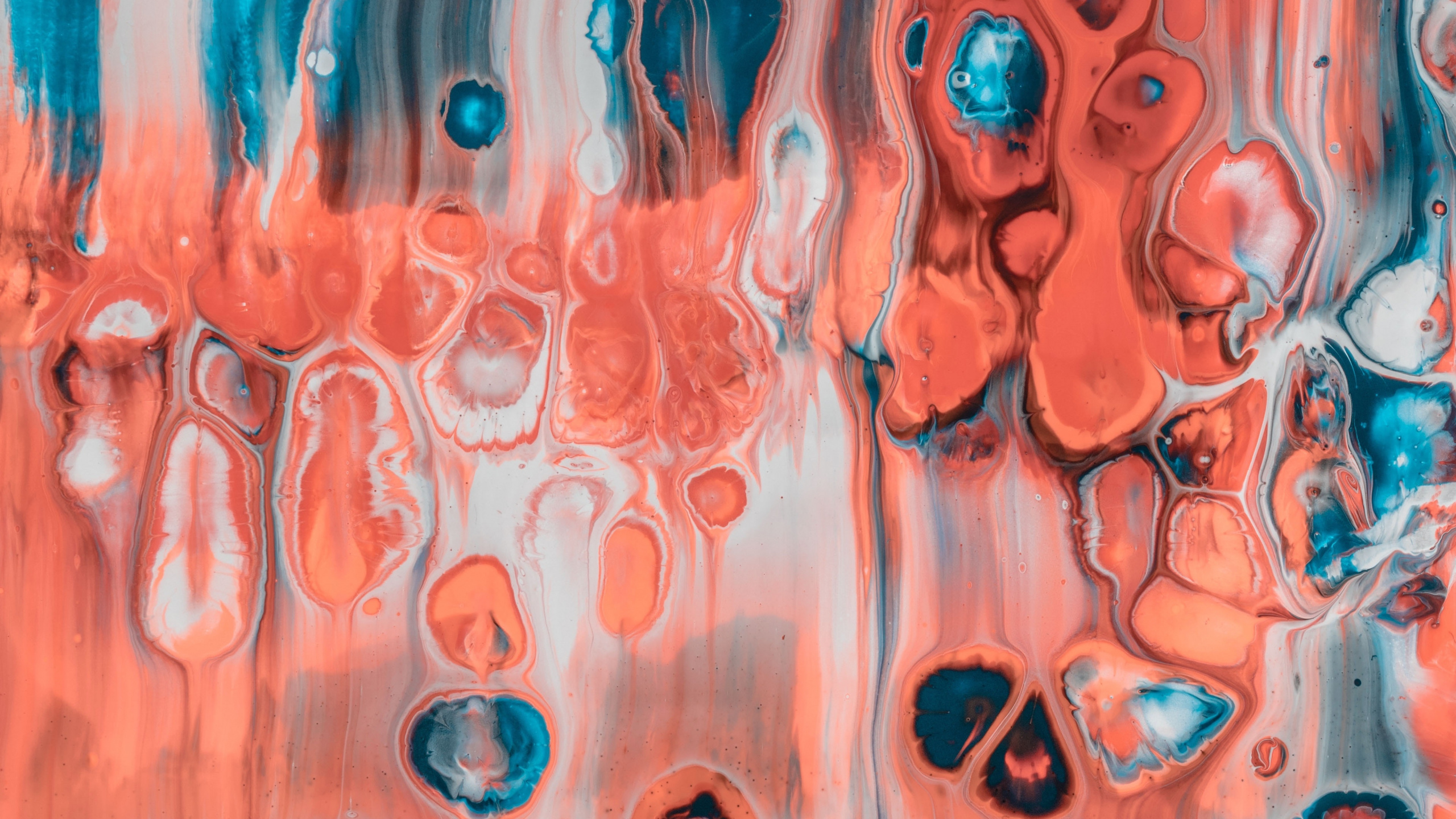 Обои акриловая краска, живопись, арт, синий, Апельсин в разрешении 2560x1440