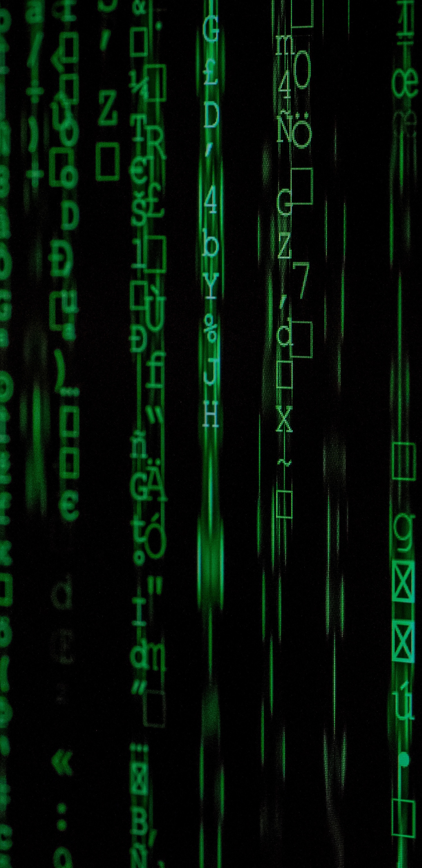 Обои зеленый, узор, зеленый кодирование, Информационные технологии, уязвимость в разрешении 1440x2960