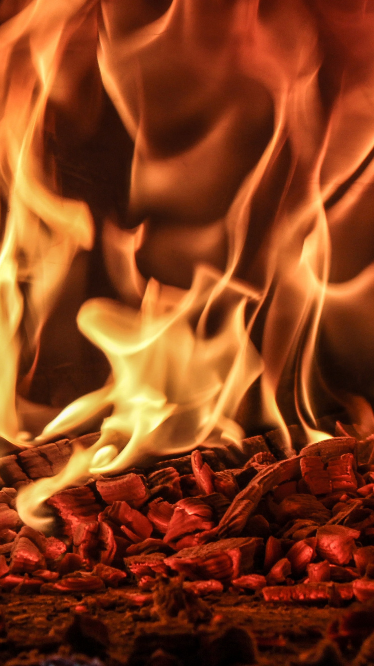 Обои пламя, огонь, тепло, сгорание, костер в разрешении 750x1334