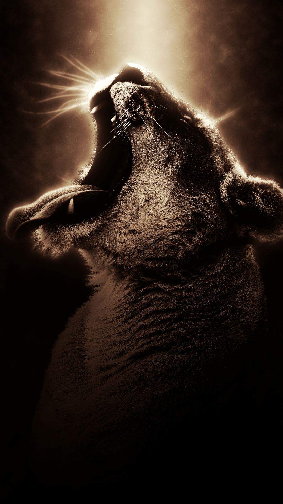 Обои темнота, морда, бакенбарды, монохромный, нос в разрешении 1080x1920